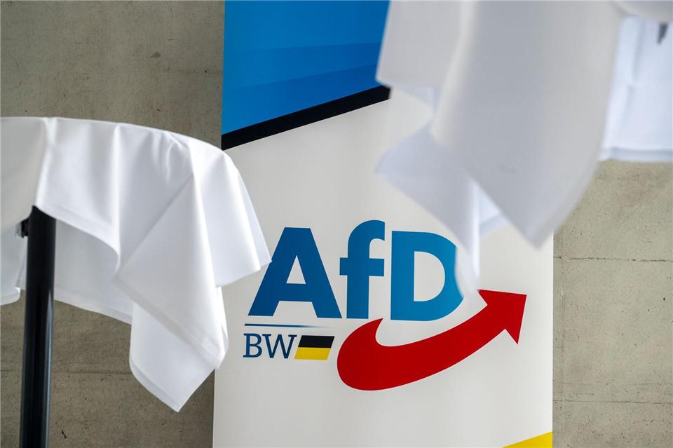 Die AfD-Delegierten zeigten sich nicht begeistert von der Überraschung. Stefan Puchner/dpa