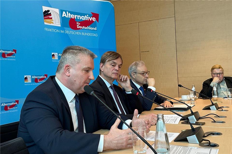 Worum es im Streit um die Migrationspolitik geht Die AfD-Fraktion kann der aktuellen Debatte viel Positives abgewinnen. J�rg Ratzsch/dpa