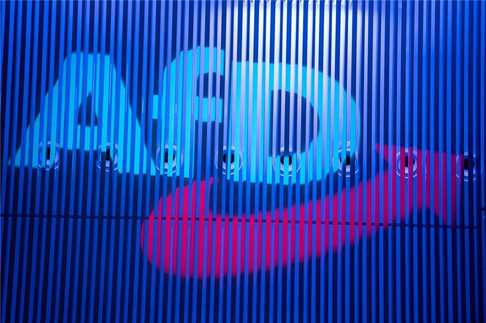 Die AfD Pforzheim muss ihre Wahlplakate wieder abhängen. (Archivbild)Fabian Sommer/dpa