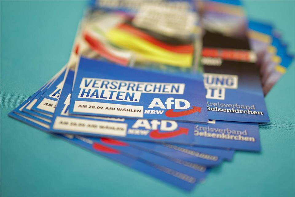 Die AfD brachte keinen ihrer Kandidaten in den Stichwahlen durch.Christoph Reichwein/dpa