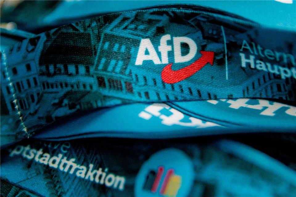 Die AfD hofft bei der Wahl zum Berliner Abgeordnetenhaus am 20. September auf Zugewinne. (Symbolbild)Carsten Koall/dpa