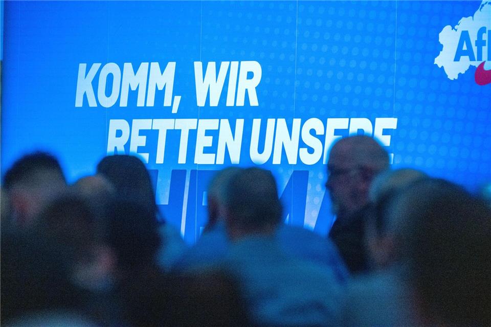 Die AfD in MV will Ende der Woche ihre Plakatkampagne zur Landtagswahl vorstellen. (Symbolbild)Stefan Sauer/dpa