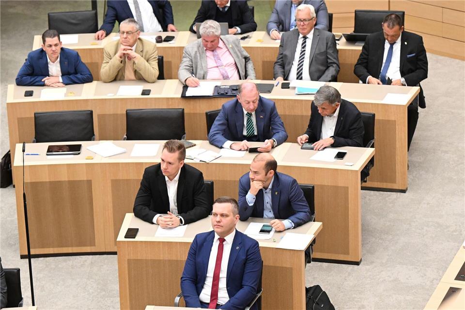 Die AfD ist mit 17 Abgeordneten die derzeit kleinste Fraktion im Landtag von Baden-Württemberg. (Archivbild)Bernd Wei�brod/dpa
