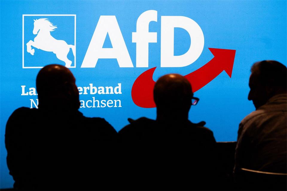 Die AfD kann viele ihrer kommunalen Mandate nicht besetzen. (Archivbild)Julian Stratenschulte/dpa