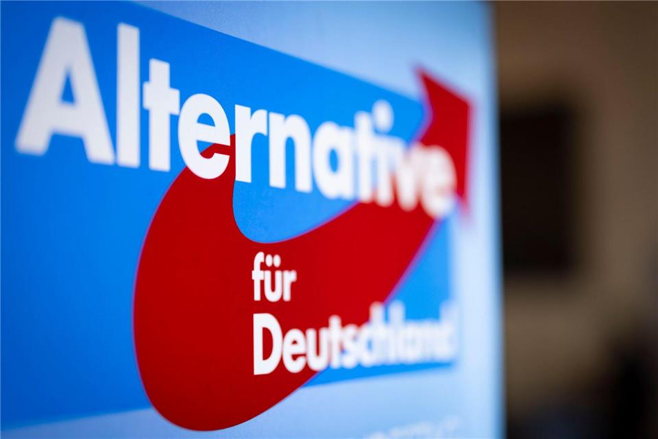 Die AfD streitet sich mit dem Bundestag um eine Großspende im Wert von 2,3 Millionen Euro. (Symbolbild)Christoph Reichwein/dpa
