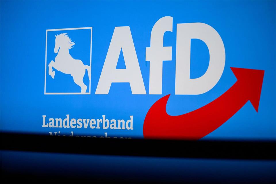 Die AfD war mit drei Kandidaten in den Stichwahlen vertreten. (Archivbild)Philipp Schulze/dpa