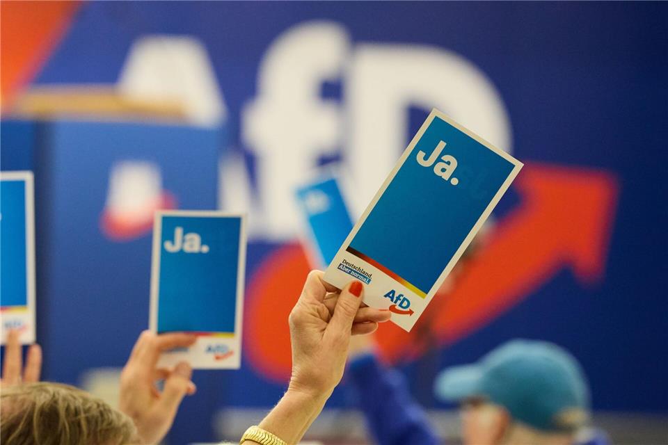 Die AfD will die Wähler auf der Metaebene ansprechen.Georg Wendt/dpa