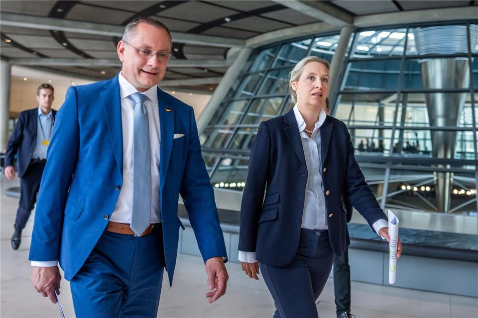 Die AfD will eine Entscheidung des Berliner Verwaltungsgerichts zu einer Parteispende nicht akzeptieren. (Archivbild) Michael Kappeler/dpa