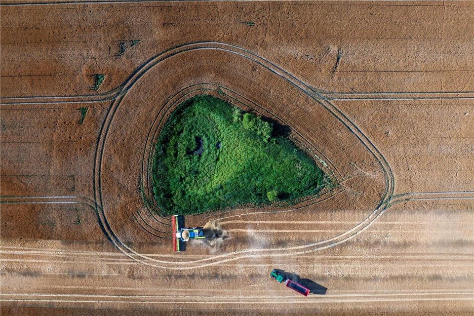 Die Agrarwirtschaft befürchtet, dass Landwirte künftig weniger EU-Geld bekommen. (Archivbild) Jens Büttner/dpa