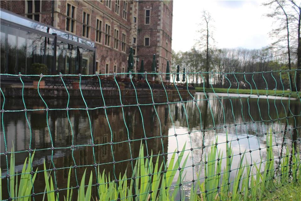 Die Akademie des Handwerks hat es bereits mit dem Aufstellen von Zäunen versucht, um die Gänse an der Schlossgräfte zu vertreiben.