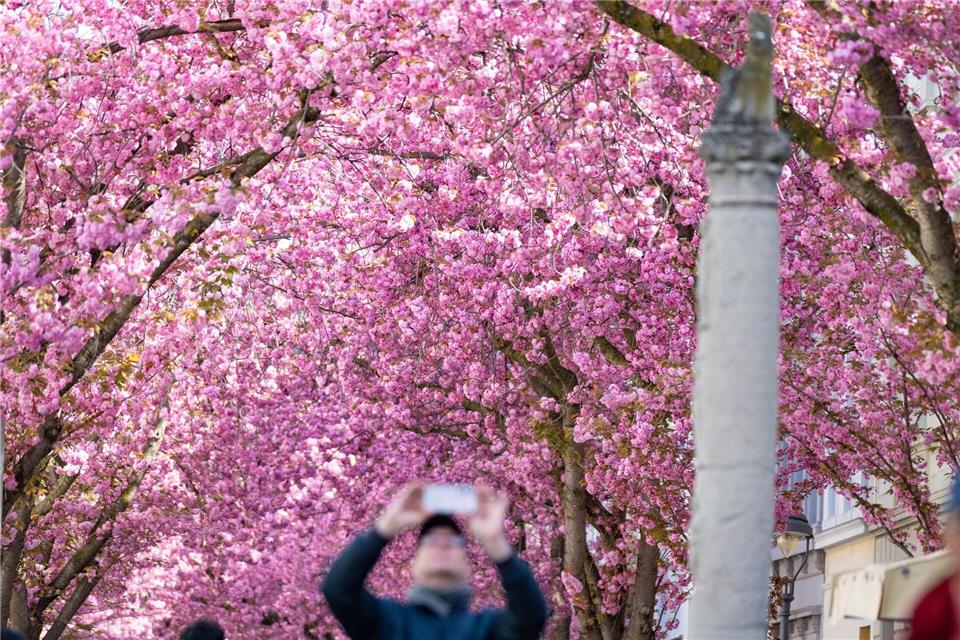 Die Altstadt wurde wieder zum beliebten Fotomotiv.Benjamin Westhoff/dpa