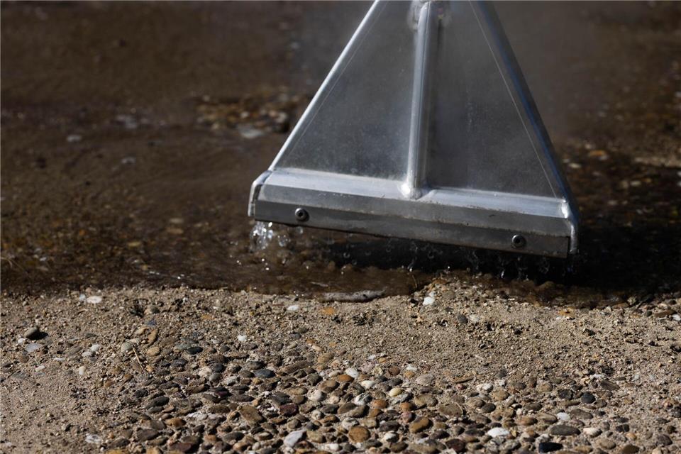 Die Ameisenart „Tapinoma magnum“ ist polygyn. Das bedeutet, sie hat zahlreiche Königinnen und bildet sogenannte Superkolonien. (Archivbild)Philipp von Ditfurth/dpa