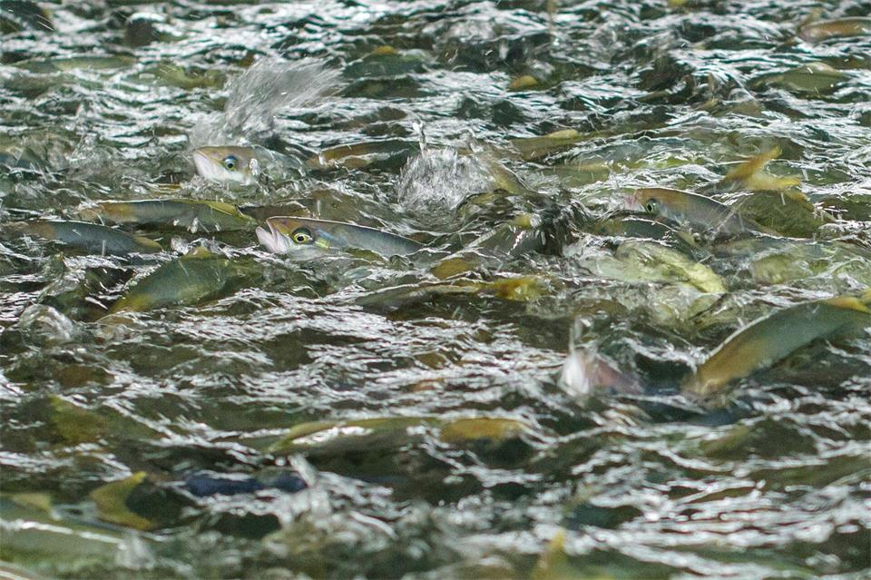 Die Anlage hat ihren Betrieb Ende August eingestellt (Archivfoto)Oliver Dietze/dpa