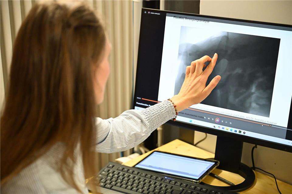 Die Anlage kostete rund 1,2 Millionen Euro.Jennifer Brückner/dpa