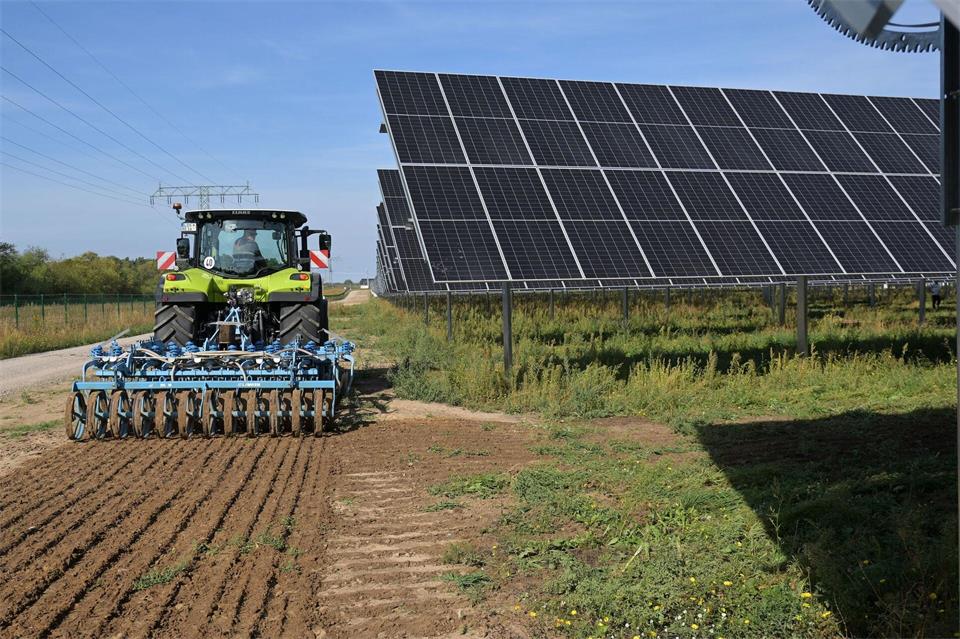 Die Anlage soll eines der größten Agri-Photovoltaik-Projekte mit Ackerbau in Deutschland und die erste Agri-Photovoltaik-Anlage auf einer Stadtgüterfläche sein.Michael Bahlo/dpa