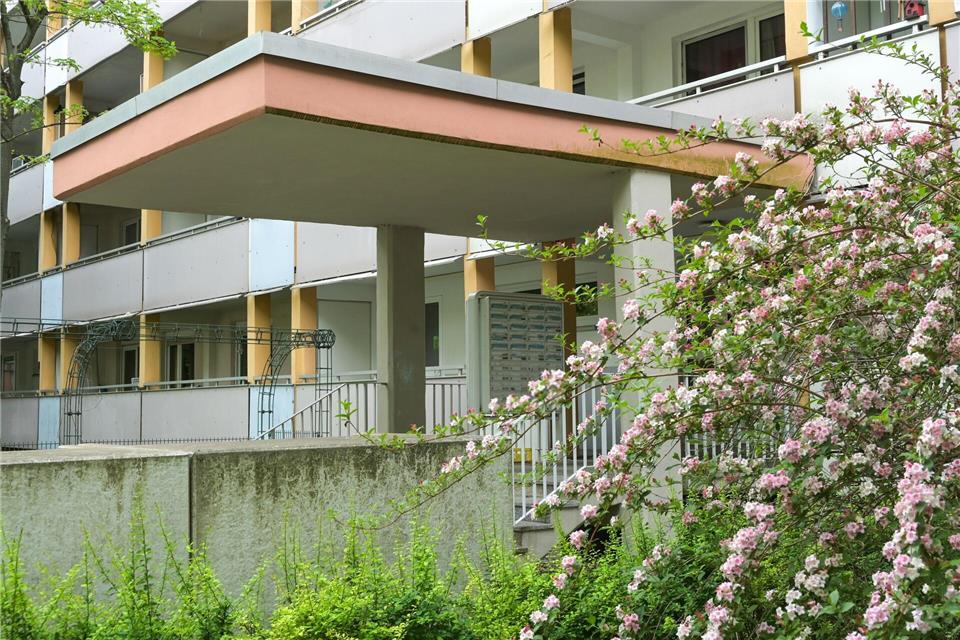 Die Attacke geschah vor einem Plattenbau in Halle. (Archivbild)Heiko Rebsch/dpa