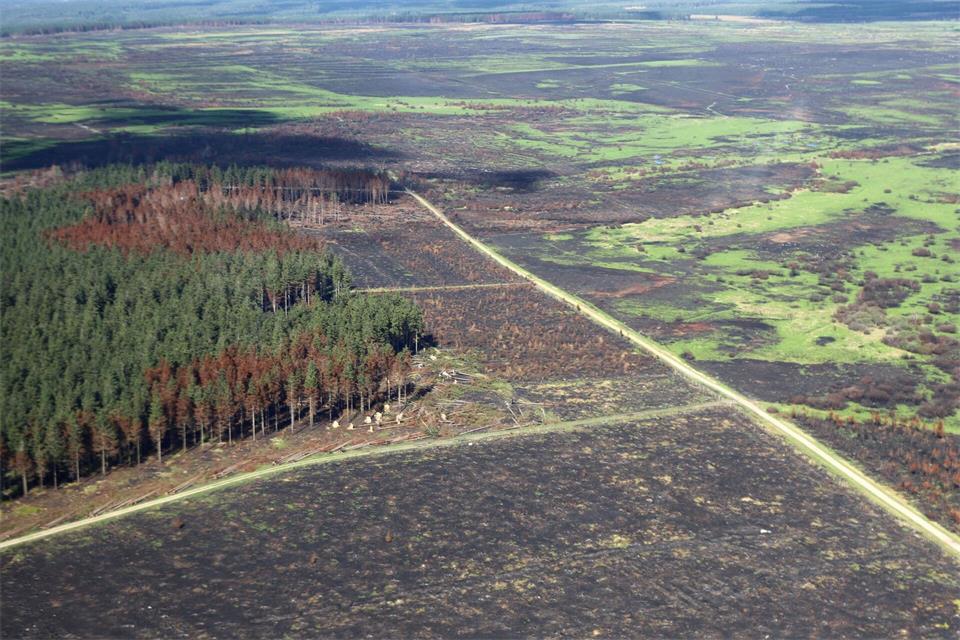 Die Aufnahme aus einem Flugzeug zeigt den Blick auf das Waldbrandgebiet im Hohen Venn rund einen Monat nach den verheerenden Waldbränden. Sascha Thelen/dpa