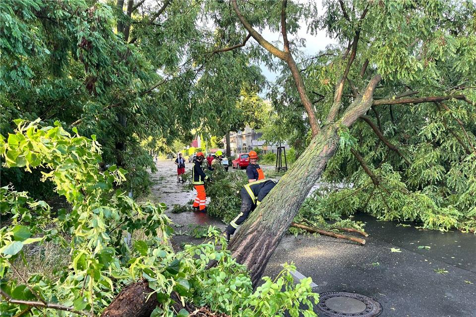 Unwetter in Brandenburg: Mehr als 1000 Feuerwehreinsätze Die Aufräumarbeiten nach dem Unwetter dauern in Berlin und Brandenburg an.Jens Dudziak/dpa
