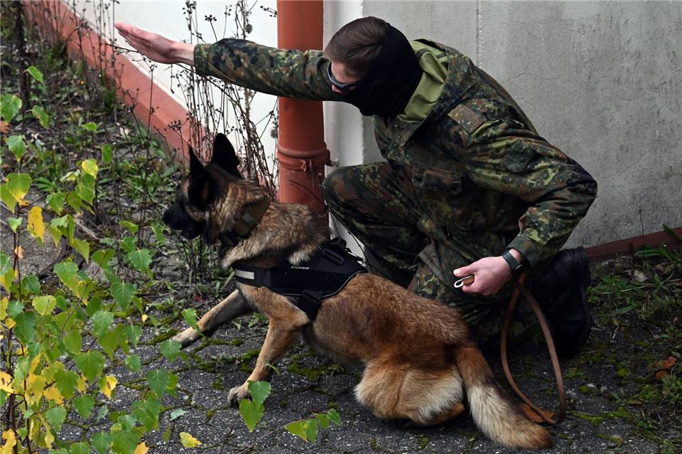 Die Ausbildung für die Ukrainer dauert mehrere Monate.Federico Gambarini/dpa