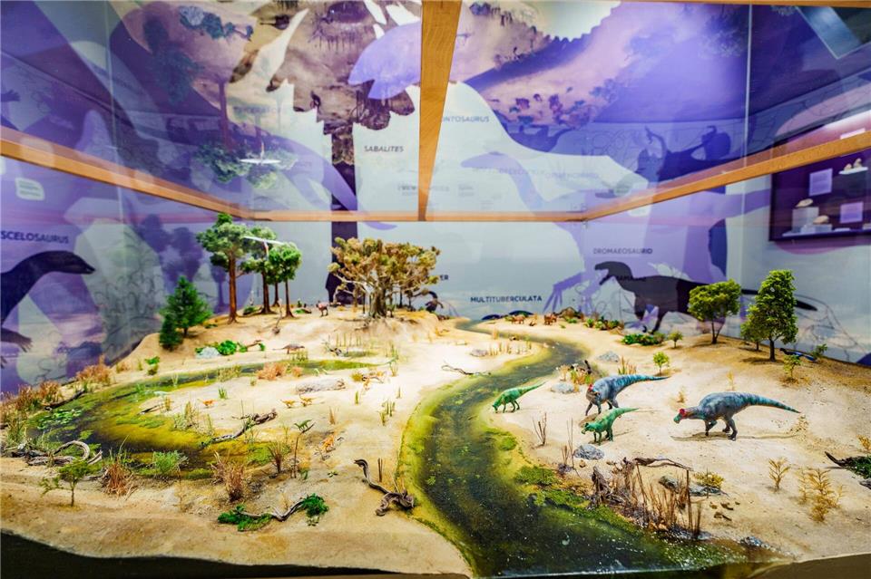 Die Ausstellung entführt in eine Welt vor rund 66 Millionen Jahre. Andreas Arnold/dpa