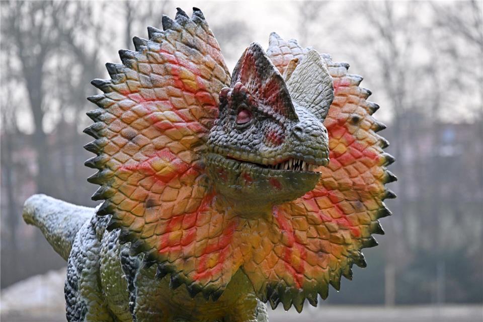 Die Ausstellung eröffnet mit einer Woche Verspätung. (Archivbild)Martin Schutt/dpa