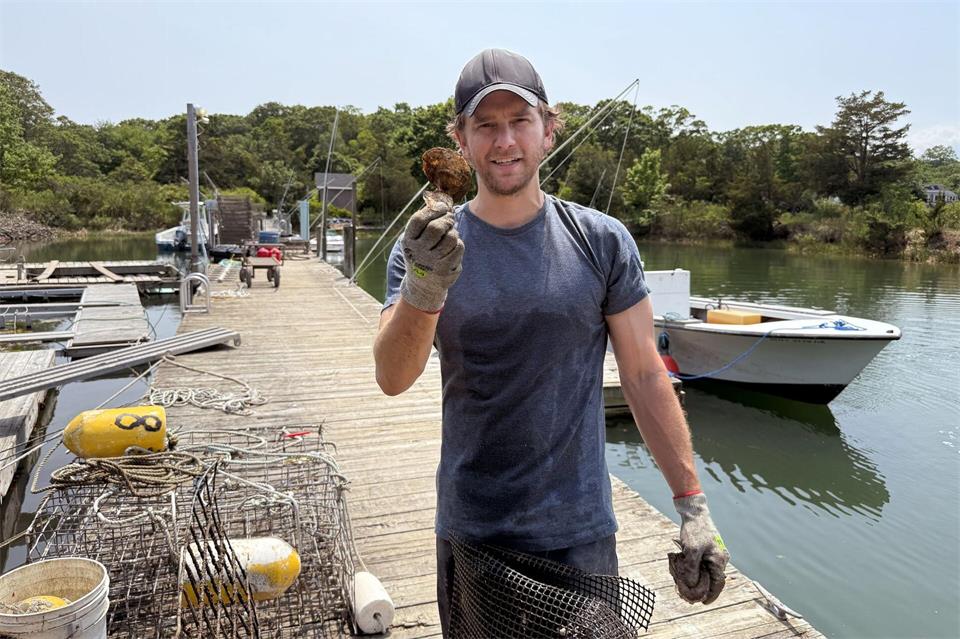 „Die Auster ist ein echtes Umweltwunder“, sagt Billy Wellman von Southold Bay Oysters.Verena Wolff/dpa-tmn