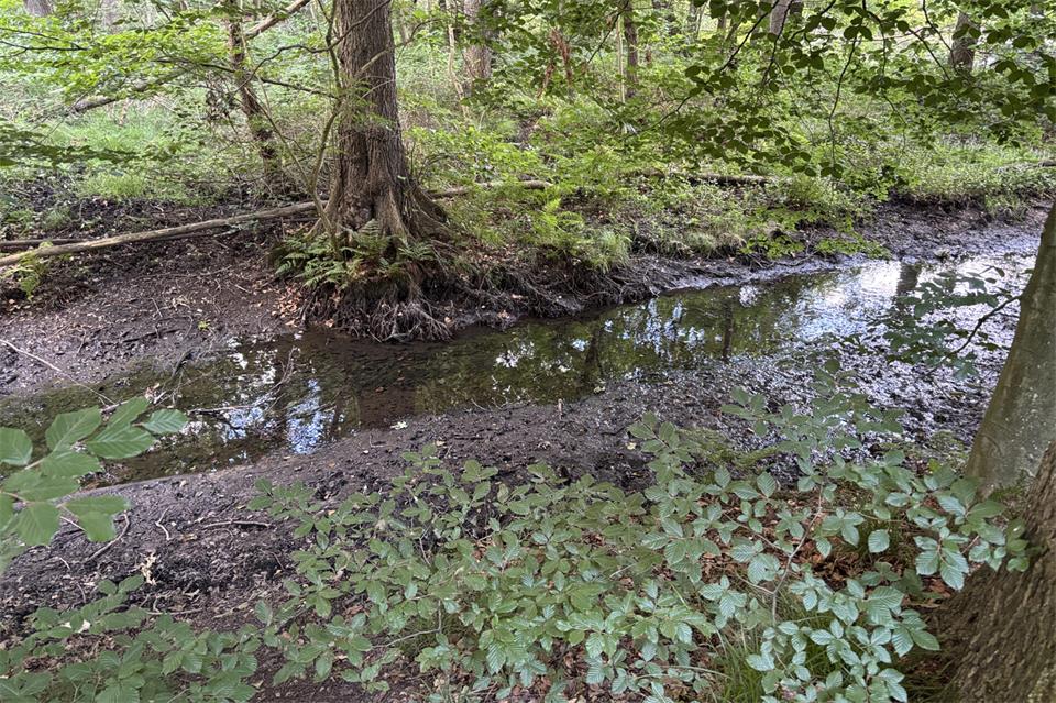 Die Bäche haben nach der wochenlangen Trockenheit und Hitzeperiode zuletzt nur sehr wenig Wasser geführt.
