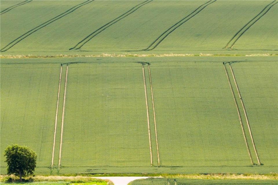 Die Bauern sind trotz Wetterstress mit der Getreide- und Rapsernte zufrieden. Julian Stratenschulte/dpa