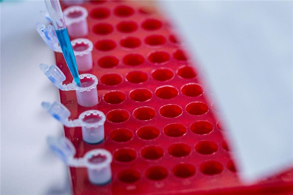 Berlin Science Week beginnt Die Berlin Science Week läuft bis zum 10. November. (Symbolbild)Jens Büttner/dpa