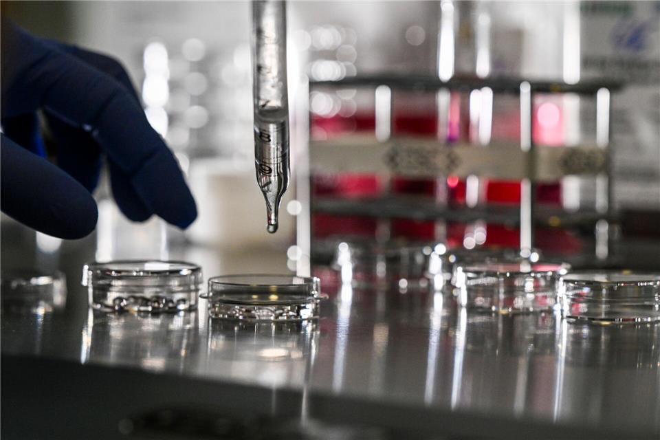 Mehr als 350 Veranstaltungen bei der Berlin Science Week Die Berlin Science Week läuft vom 1. bis zum 10. November. (Symbolbild)Jens Kalaene/dpa