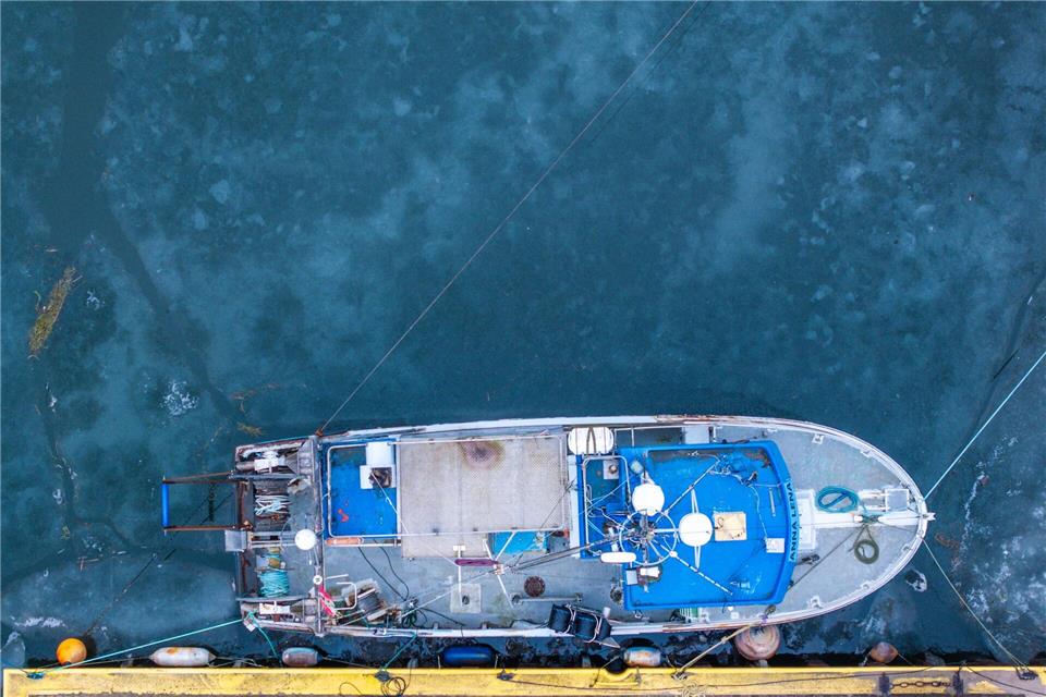 Die Bestände in der Ostsee stehen wegen des Klimawandels, Überfischung und Nährstoffeinträgen stark unter Druck.Jens Büttner/dpa