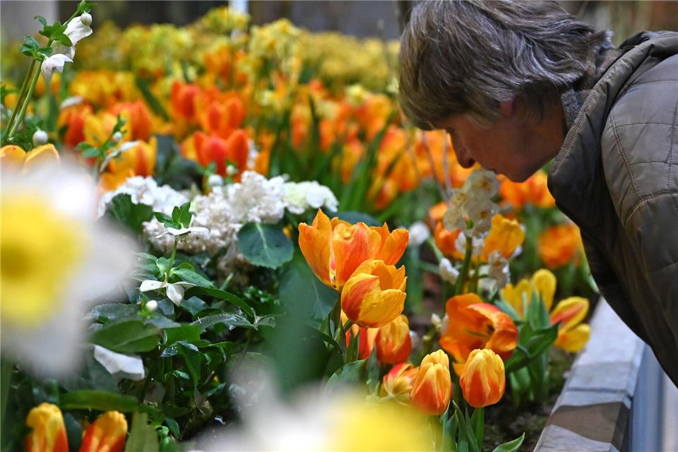 Die Besucherzahl auf der diesjährigen Woche übertraf die Erwartungen deutlich. (Archivbild)Elisa Schu/dpa