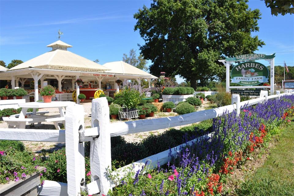 Die Betreiber sind Vorreiter des Farmtourismus: Harbes Family Farm.Discover Long Island/dpa-tmn