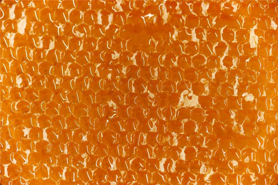 Die Bienenwaben sind mit reichlich Honig gefüllt. Thomas Banneyer/dpa