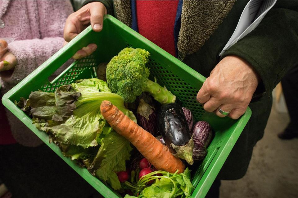 Die Blätter vom Salatkopf sind schon etwas welk, die Aubergine hat eingedrückte Stellen, der Brokkoli erste eher gelbe Röschen und die Möhrenspitze beginnt zu schrumpeln. Dennoch lässt sich daraus noch Leckeres zaubern. Matthias Balk/dpa/dpa-tmn