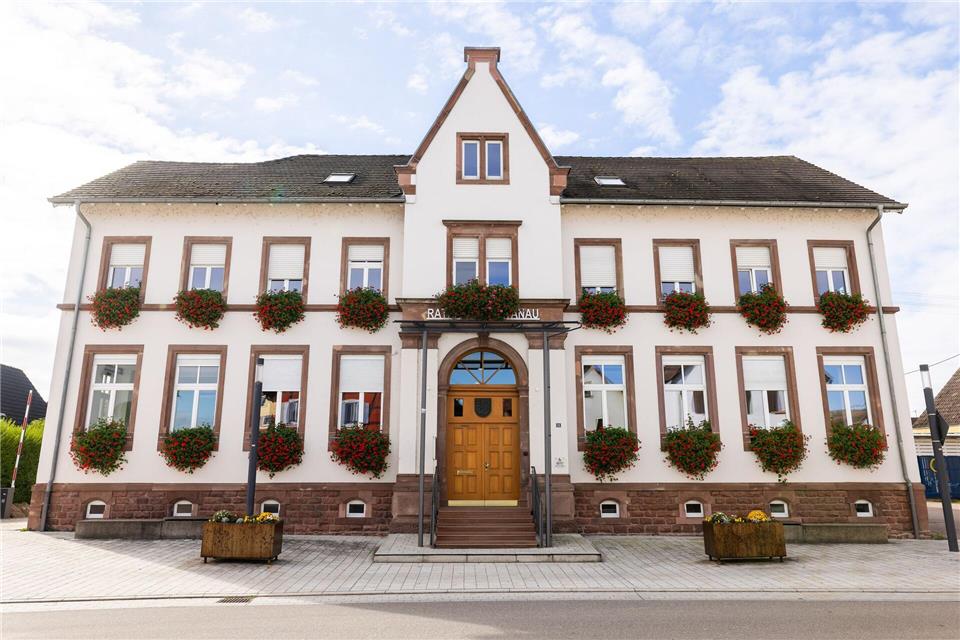 Konzernchef lässt Blumenkübel von Straße entfernen Die Blumenkübel standen in einer Schwanauer Tempo-30-Zone. Philipp von Ditfurth/dpa
