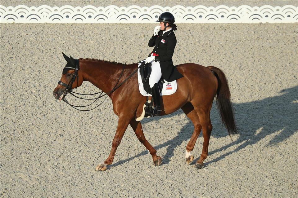 Die „Blut-Regel“ im Reitsport wurde für Springpferde abgemildert. In der Dressur gilt weiter die bisherige und strengere Regel. Friso Gentsch/dpa