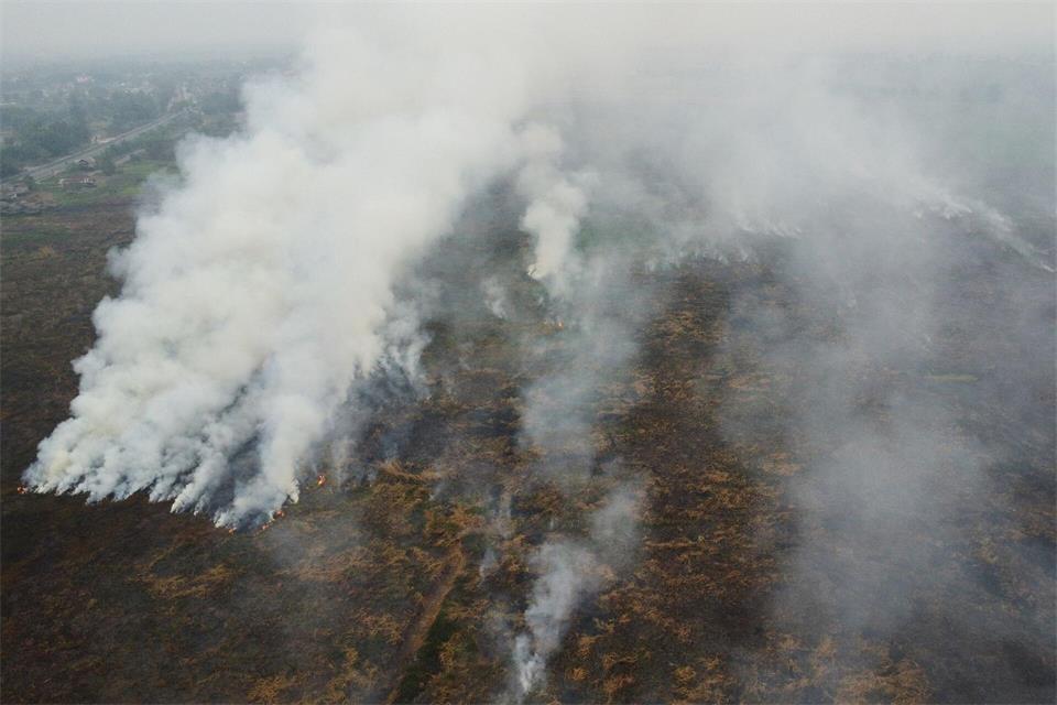 Die Brände auf Borneo und Sumatra wüten seit Monaten.Muhammad Hatta/AP/dpa