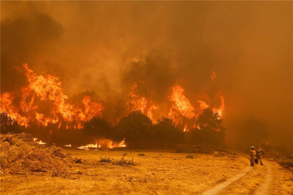 Die Brandbekämpfer sehen sich teilweise mit riesigen Feuerwänden konfrontiert, die durch stürmische Winde jederzeit blitzartig die Richtung ändern können. Lalo R. Villar/AP/dpa