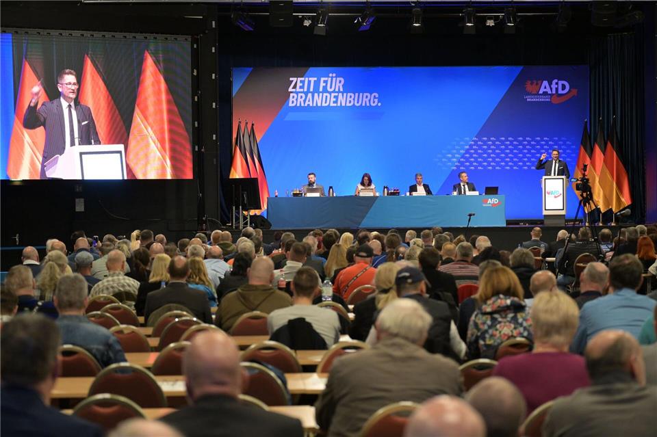 Die Brandenburger AfD hat nach strittiger Debatte eine neue Satzung beschlossen.Michael Bahlo/dpa
