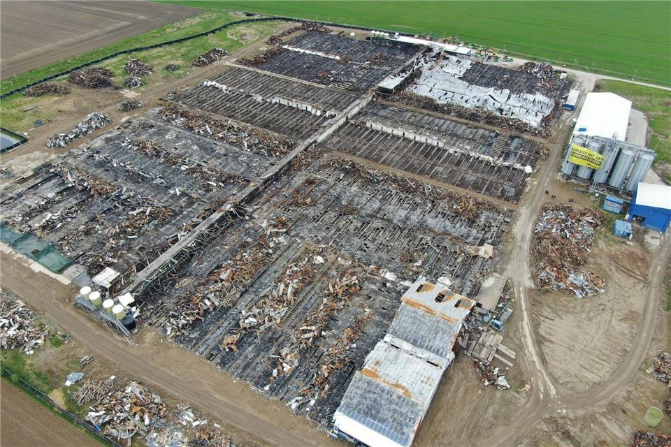 Die Brandruine des Schweine-Großstalls von Alt Tellin im Landkreis Vorpommern-Greifswald. Vier Jahre nach der Katastrophe steht es nach Einschätzung von Kritikern noch immer schlecht um den Brandschutz in Tierställen. (Archivbild)Stefan Sauer/dpa