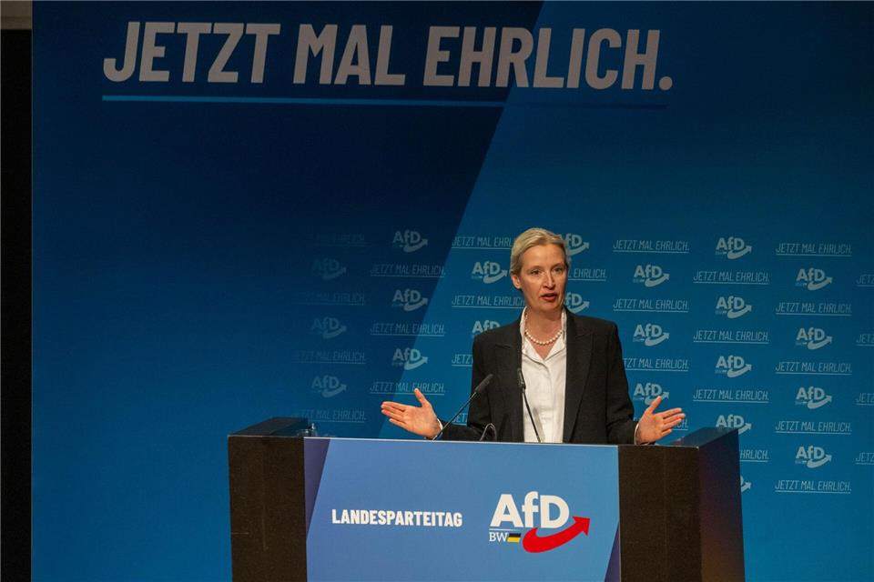Die Bundesvorsitzende Weidel schaute bei ihrem Landesverband vorbei.Stefan Puchner/dpa