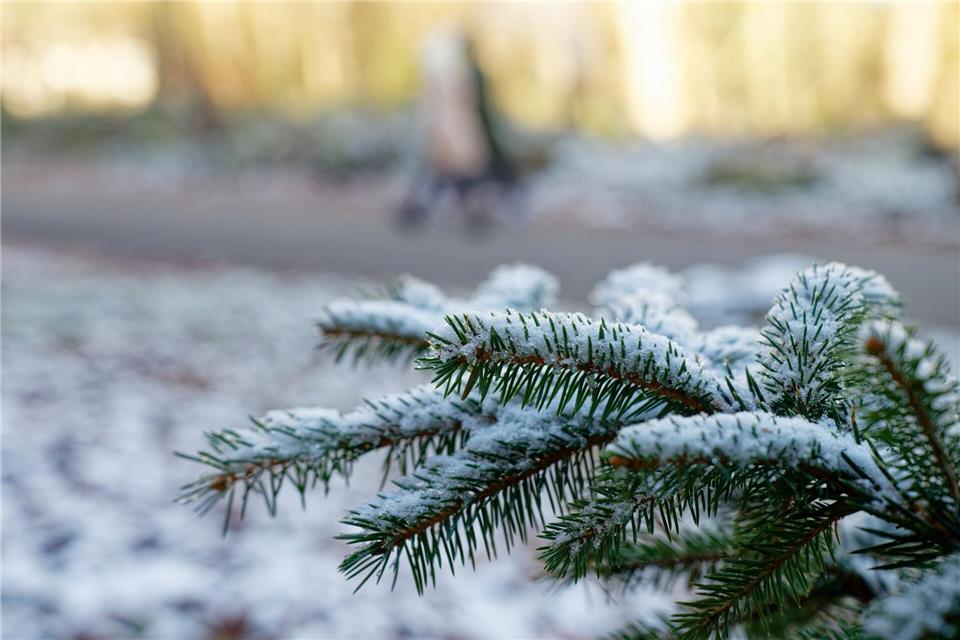 Die Chancen auf weiße Weihnachten sind in der vergangenen Zeit zunehmend gesunken. (Archivbild)Uwe Anspach/dpa