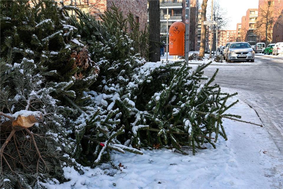 Die Christbäume waren jeweils mit vier Euro als Spende für die Pfadfinder bestückt. (Symbolbild)Jens Kalaene/dpa