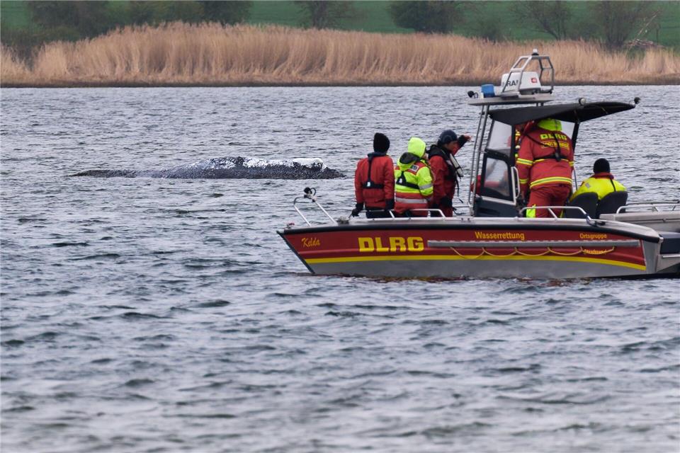 Die DLRG will am Mittwoch aus Kirchdorf auf Poel abziehen.Marcus Golejewski/dpa