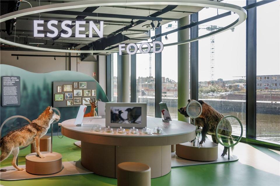 „Botschaft der Wildtiere“: Tausende Besucher und neue Pläne Die Dauerstellung ist seit Sommer 2024 geöffnet (Archivbild).Markus Scholz/dpa