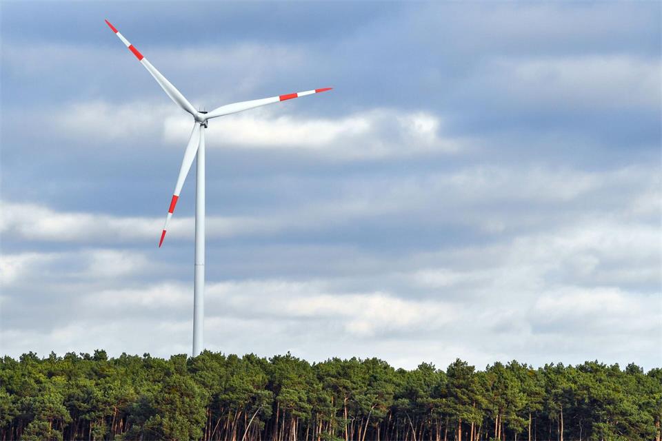 Die Deckelung ist Bestandteil der Reform des Erneuerbare-Energien-Gesetzes (EEG), das derzeit im Bundestag beraten wird. (Archivbild)Patrick Pleul/dpa-Zentralbild/dpa