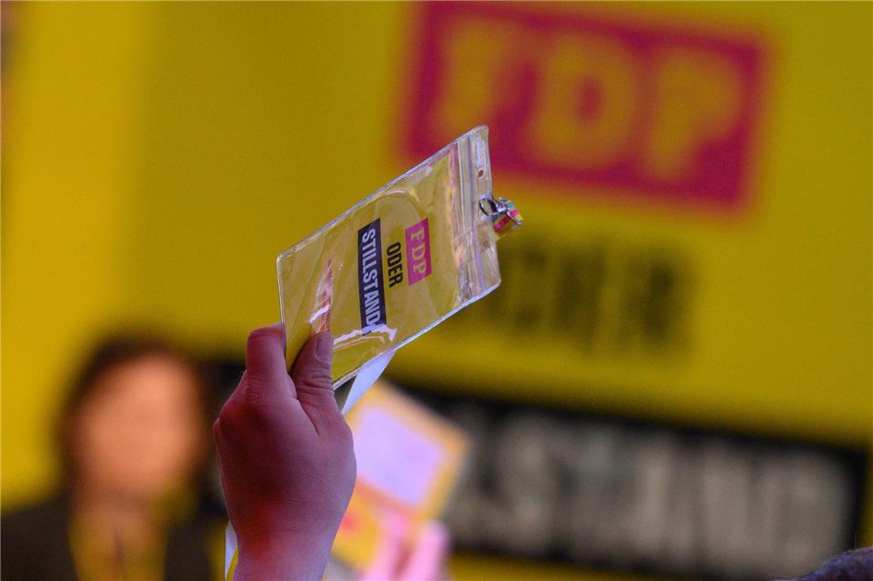 Die Delegierten berieten über das Wahlprogramm. Klaus-Dietmar Gabbert/dpa