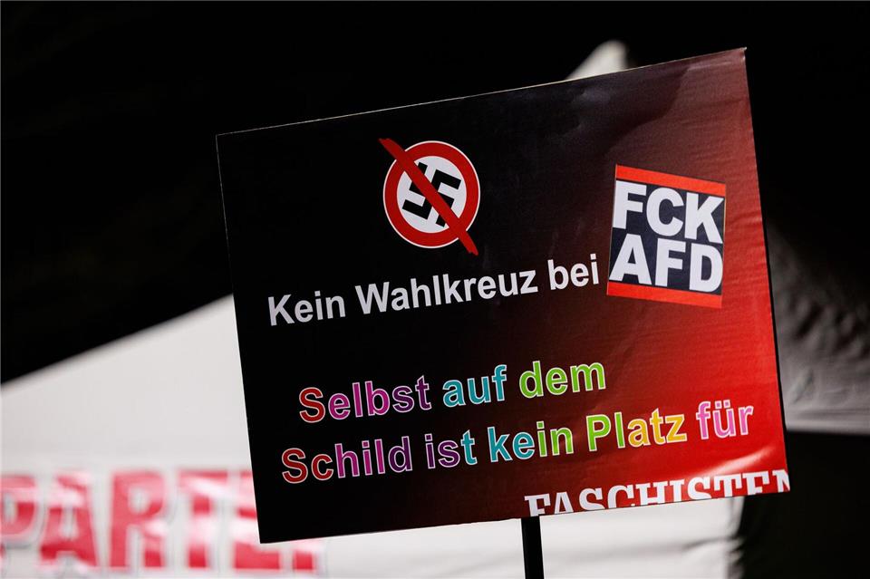 Die Demonstranten haben Plakate und Transparente dabei.Hannes P. Albert/dpa