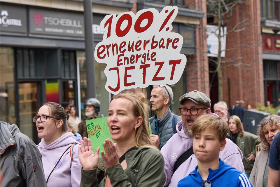 Die Demonstrierenden fordern den weiteren Ausbau von erneuerbaren Energien - vor allem angesichts der aktuellen politischen Lage. Georg Wendt/dpa